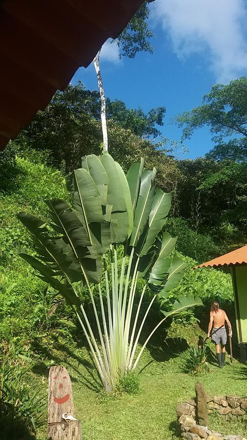 Casita Rio Indio Villa Nombre de Dios Exterior foto