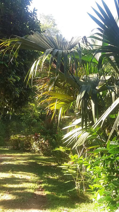 Casita Rio Indio Villa Nombre de Dios Exterior foto